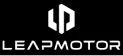 Leapmotor Logo